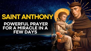 🛑 ST. ANTHONY / POWERFUL PRAYER FOR A MIRACLE IN A FEW DAYS