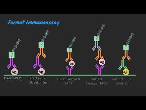 Immuno-Polymerase Chain Reaction (I-PCR) : Metode Diagnosis Ultrasensitif Untuk Penyakit Infeksi