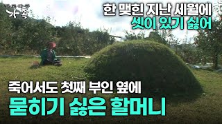 [다큐 ‘가족’ 196회 3부] 한 맺힌 지난 세월에 죽어서도 셋이 있기 싫어 첫째 부인 옆에 묻히기 싫은 할머니