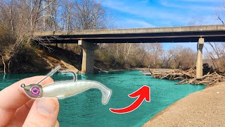 Spring Bridge Fishing for EVERYTHING that Bites!!