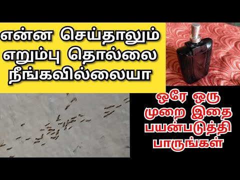 அரை நிமிடத்தில் எறும்பு மற்றும் கரப்பான் பூச்சி இறந்துவிடும்||30 SEC TO KILL ANTS||Homemade||Tamil