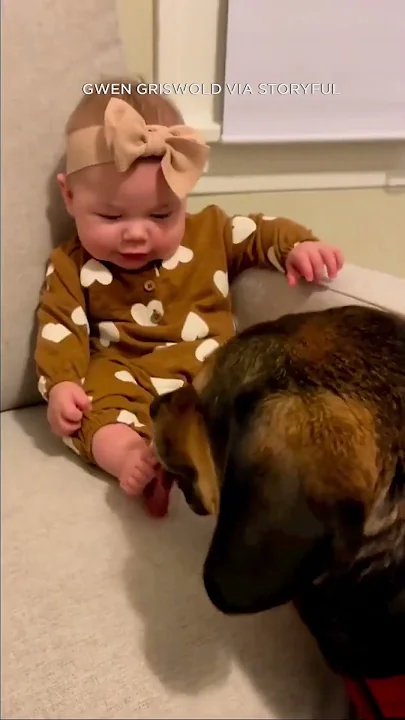 Baby can't stop giggling as dog pal licks feet #shorts