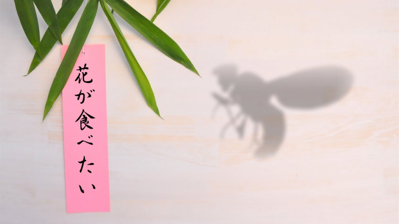 ゆっくり解説】#44 竹の花が120年に一度咲く理由「昆虫」だった