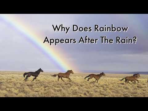 Video: What is a rainbow? How does she appear?