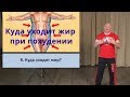 8.  Куда уходит жир?