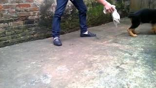WP 20140429 005