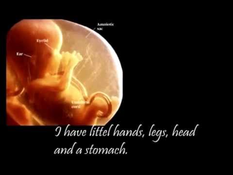 Thumbnail : diary-of-an-unborn-female-child