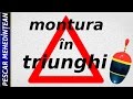 montur? n triunghi pentru caras ?i crap