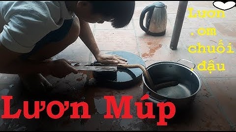 Lươn om chuối đậu | hưỡng dẫn làm thịt lươn không bị tanh