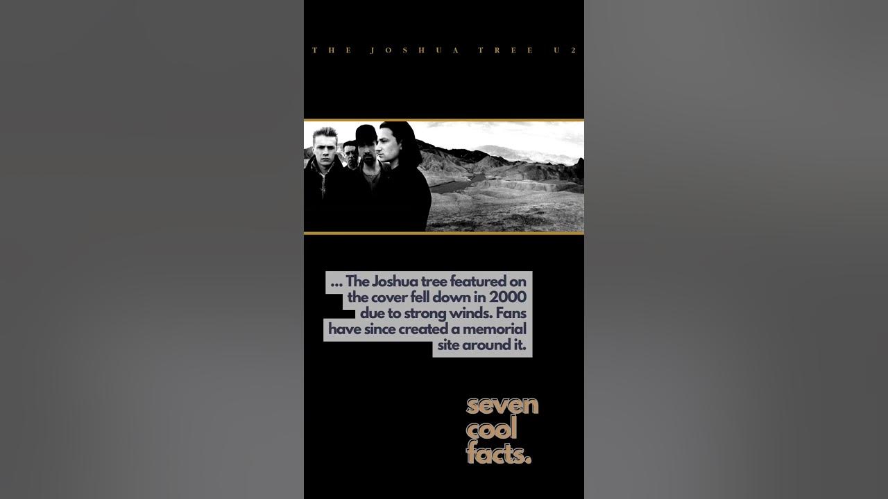 The Joshua Tree Movie