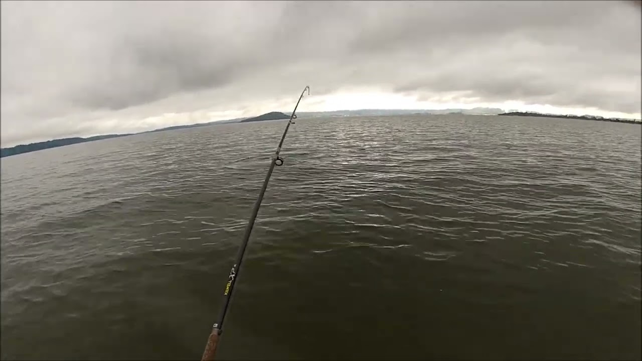 NEW ZEALAND TROUT FISHING LIPSTICK ON A PIG