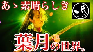 ギタリスト・作曲家 葉月解説【NEMOPHILA/KOIAI】