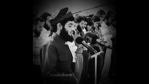 تلاوة القرآن الكريم بصوت الشيخ رعد الكردي  ||حالات واتساب إسلامية ستوريات انستا دينية ||💕🎀