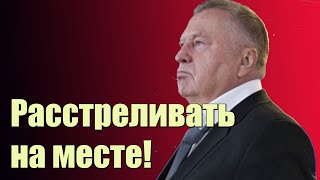 Жириновский предложил максимально защищать дом и семью.