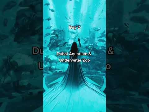 How to spend 3days in Dubai #youtubeviews #shortviral #zubynonyetravel