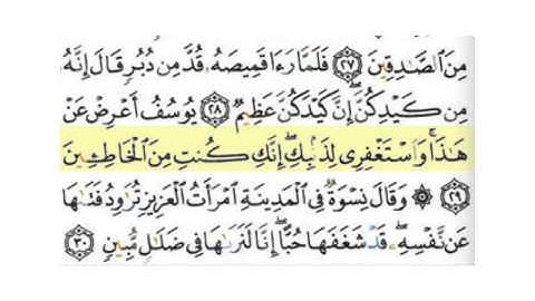 سورة يوسف - ياسر الدوسري من الآية(1-43) 800*600