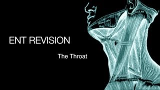 ENT Revision - The Throat