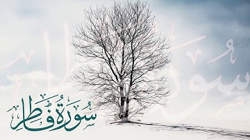 سورة فاطر بأداء جميل وحزين | Surah Fatir | القارئ ناصر العصفور