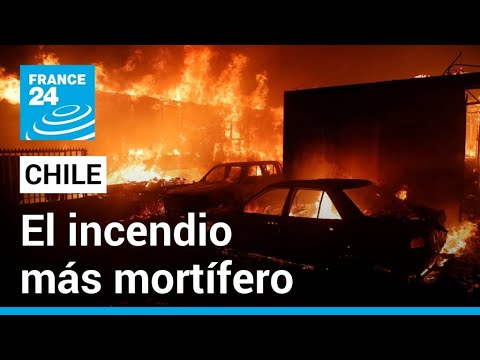 Video: Incendio en Siberia: causas y acción del gobierno