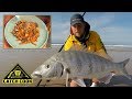 Beach camping, big steenbras and blacktail - catch cook - South Africa