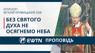 "Без Святого Духа не осягнемо неба". Проповідь єпископа Віталія Кривицького, 19.05.2024