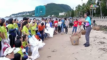 Đảng bộ DN ngoài nhà nước TP. Vũng Tàu tổ chức dọn dẹp vệ sinh bãi biển Bãi trước | BRTgo