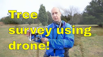 Tree surveying using drone! @ The Yorkshire Arboretum. Tree reports and surveys uk