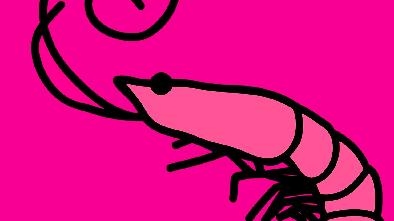 HOW MANY SHRIMPS DO YOU HAVE TO EAT Ear Rape YouTube