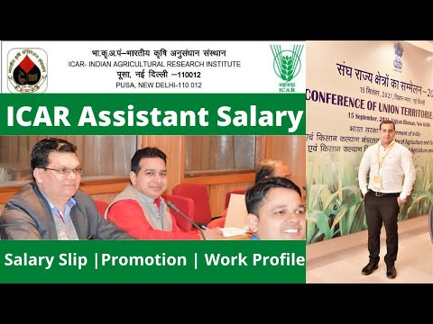 ICAR IARI Assistant In Hand Salary - HeadQuater vs Institute Salary  | Promotions of Assistant