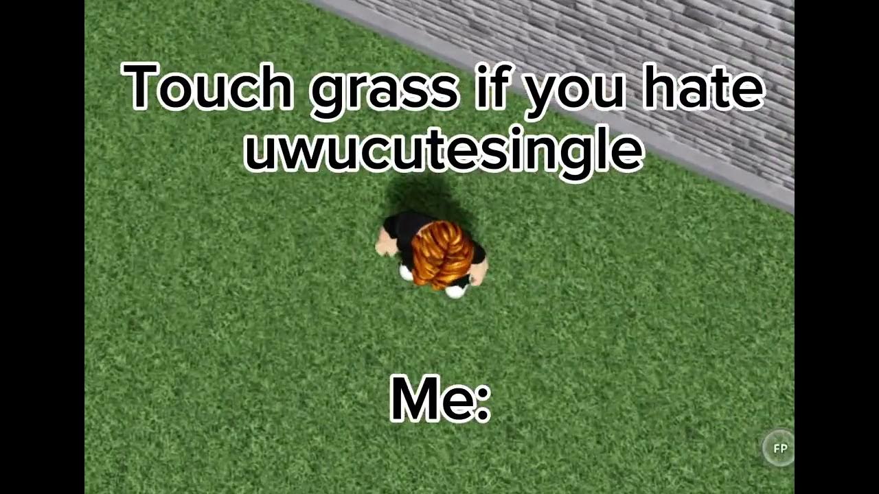 Uwucutesingle Touch Grass Meme 