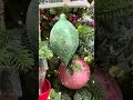 Raz 4" Set of 3 Light Green Iced Glass Christmas Ornament 4623029