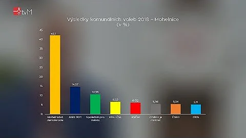 Jaké jsou zásady svobodných voleb v České republice?