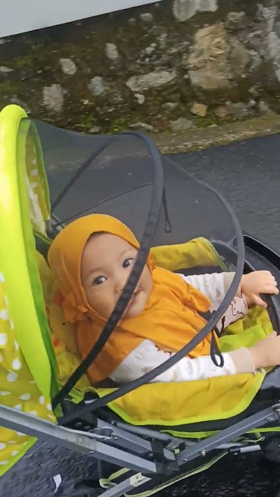 jalan jalan sore naik kereta dorong..seru nya.....