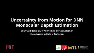Uncertainty from Motion for DNN Monocular Depth Estimation