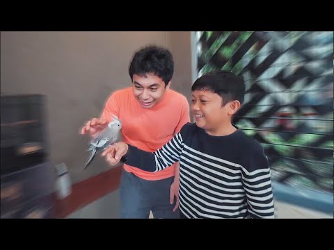 Inilah Burungnya Editor Saya
