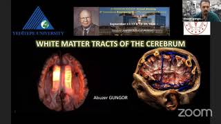 White Matter Anatomy of the Cerebrum- Abuzer Gungor