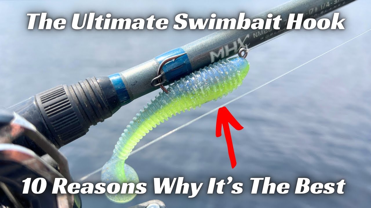 10 Reasons Why This Is The Ultimate Swimbait Head! 