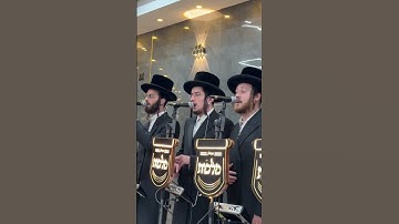 Thumbnail of מוישי ברנדמרק, מקהלת מלכות, ואלי וייס💫