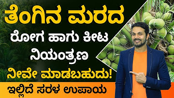 How To Control Diseases In Coconut Tree | How To Get Rid Of All Coconut Tree Diseases In Kannada