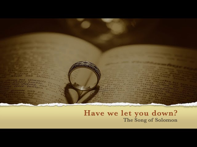 Have we let you down?