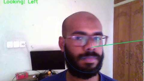 Head Pose Estimation