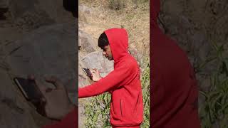 Anaconda Snake in Jungle - PART 1 🐍 #snake #shorts #python #snakes #nagin #anaconda #bigsnake