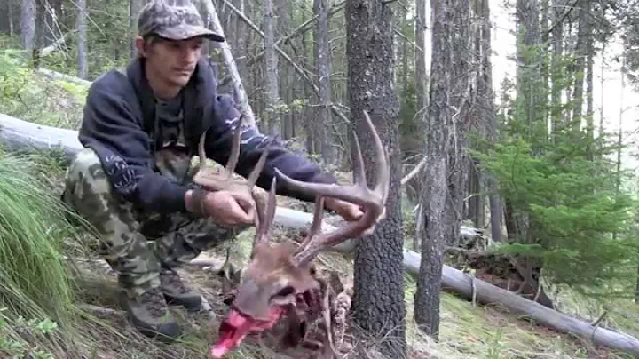 2015 Panhandle North Idaho Elk Hunting Brandon Pitcher