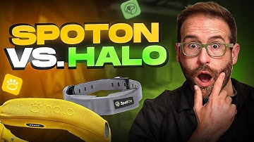 SpotOn vs Halo Dog Fence: Real-World Accuracy Test (Which GPS Collar Wins?)