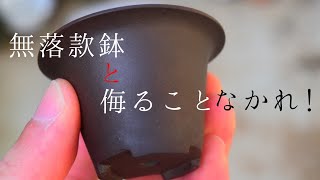 盆栽鉢紹介！無落款鉢 Bonsaipot