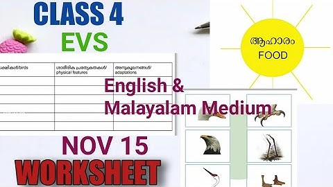 Class 4 Evs Worksheet November 15/Itsvicters Worksheet/ Teaching Corner By Safna