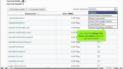 Using the Disk Usage Viewer  in CPANEL - CPANEL Video Tutorials (CPANEL 11)
