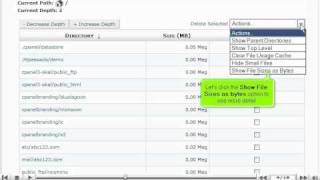 Using the Disk Usage Viewer  in CPANEL - CPANEL Video Tutorials (CPANEL 11)