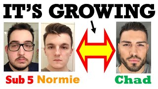 **WARNING** The Gap Between Normies and Chads is Growing