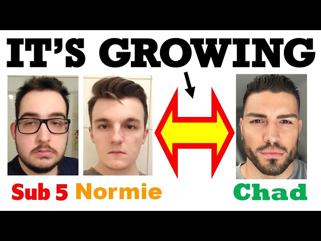 Are you Sub5, Normie or Chad? **How to know when it's Truly Over